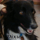 Dixie 2015